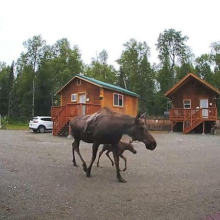 Talkeetna Love-Lee Cabins Ξενοδοχείο Εξωτερικό φωτογραφία