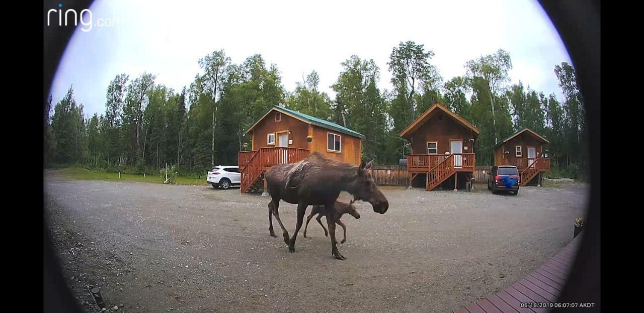 Talkeetna Love-Lee Cabins Ξενοδοχείο Εξωτερικό φωτογραφία